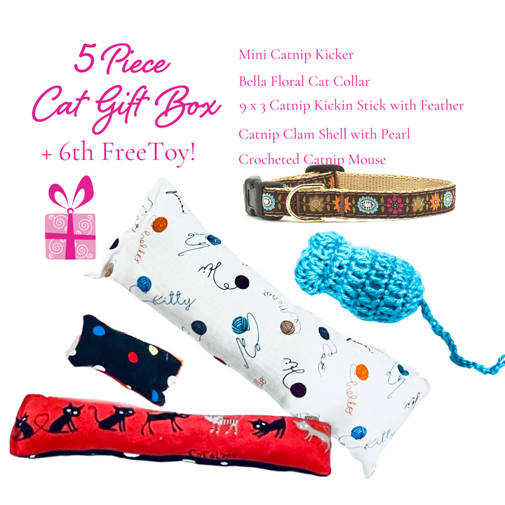 5 Piece Cat Box + Free Toy & Cat Collar (Choose Color)
