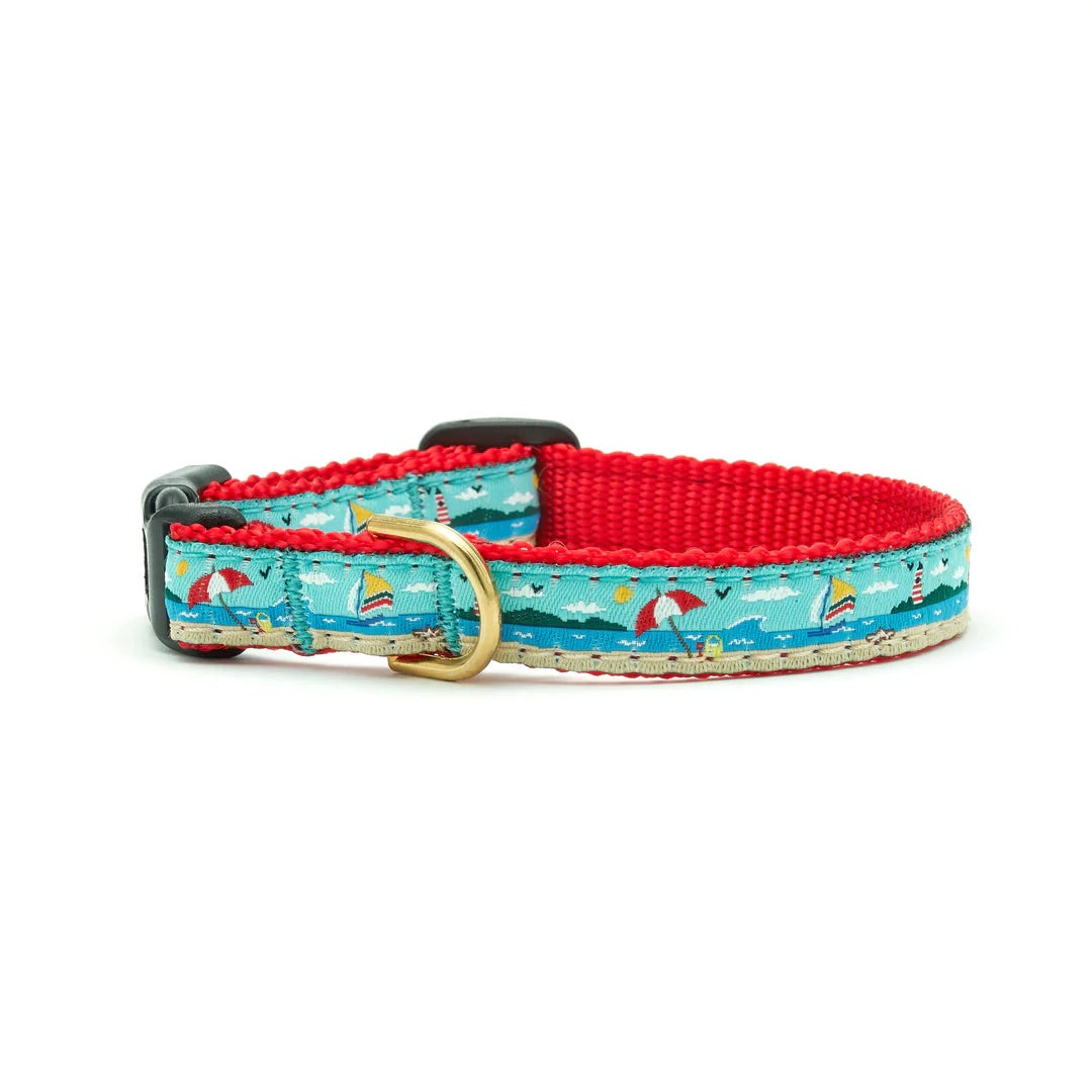 Coastal Small Breed Collar (Optional Lead)