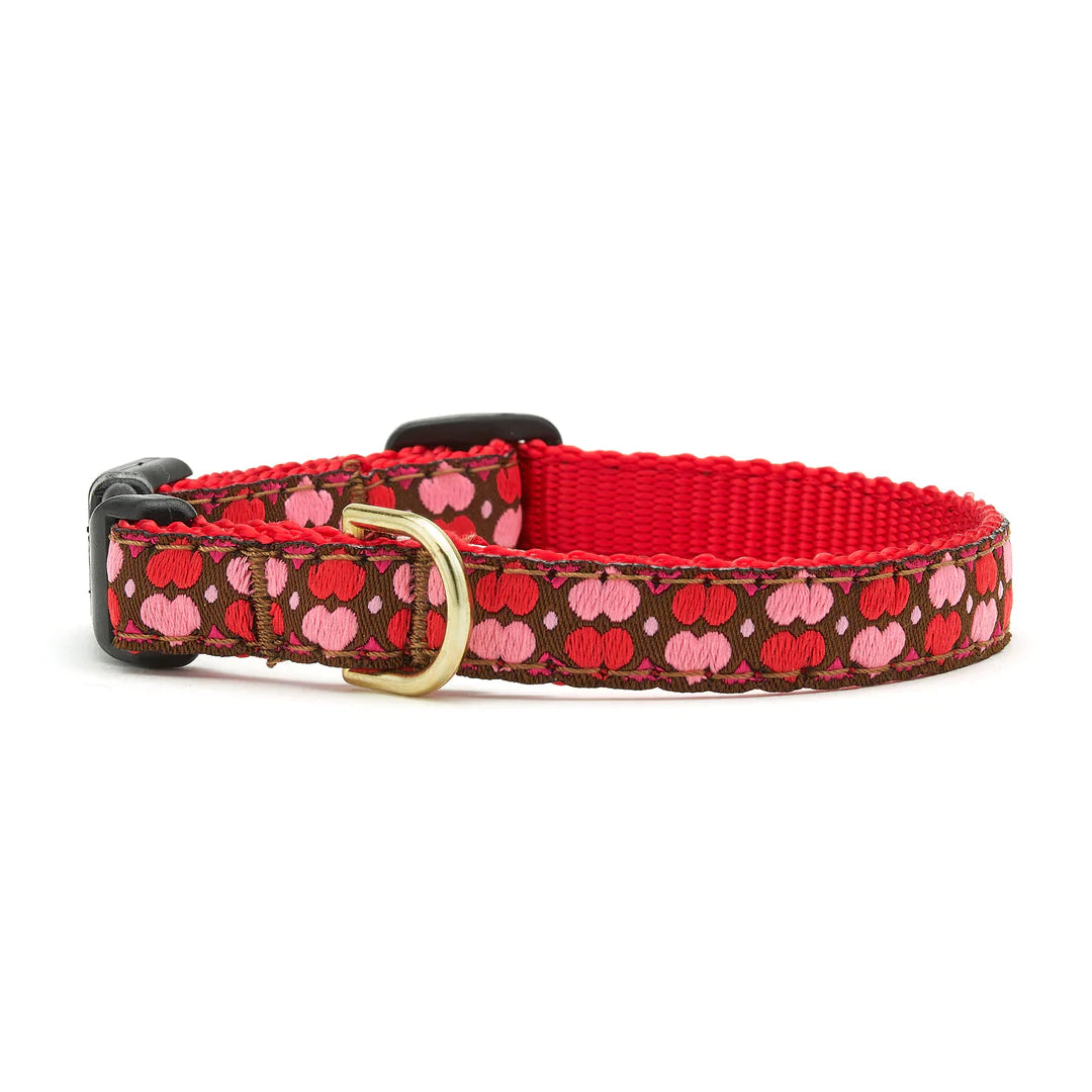 All Hearts Dog Collar