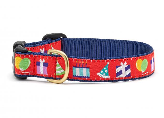 Birthday Gift Dog Collar