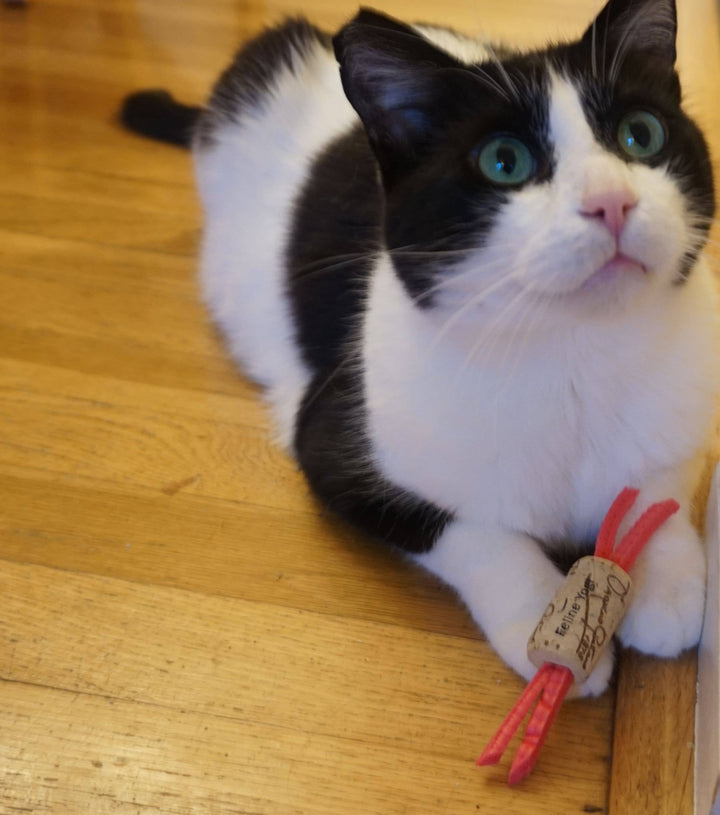 Pink Cat 3 Toy Gift Set + Cat Yoga Mat