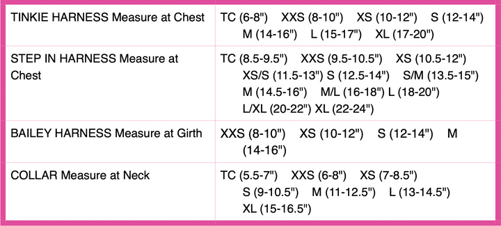 Cheetah Couture 4 Row Giltmore Collar