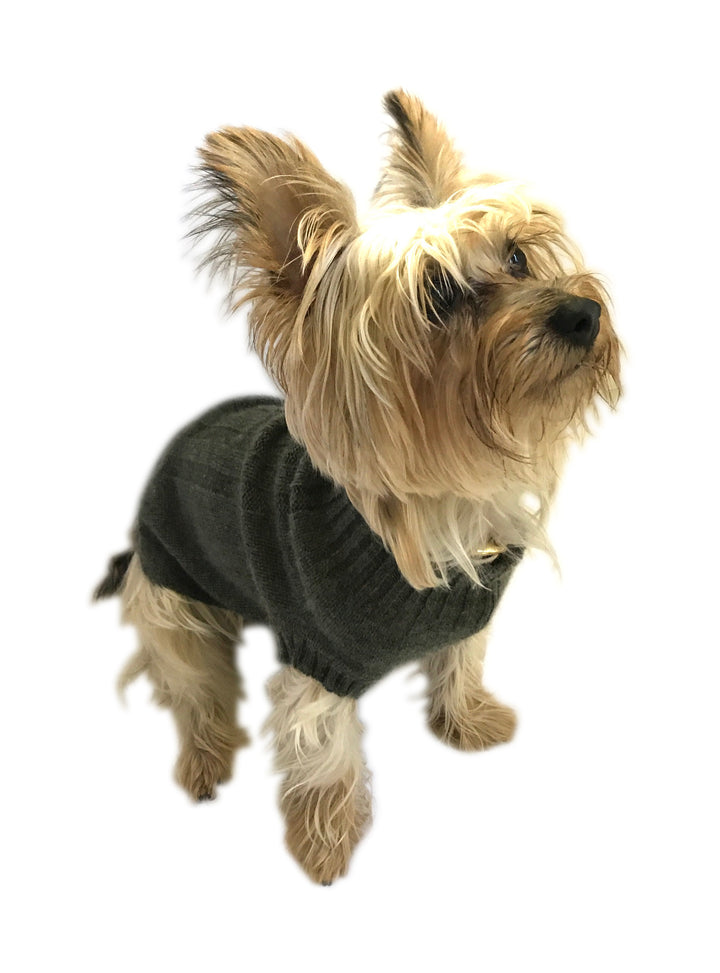 Sweater Cashmere Olive