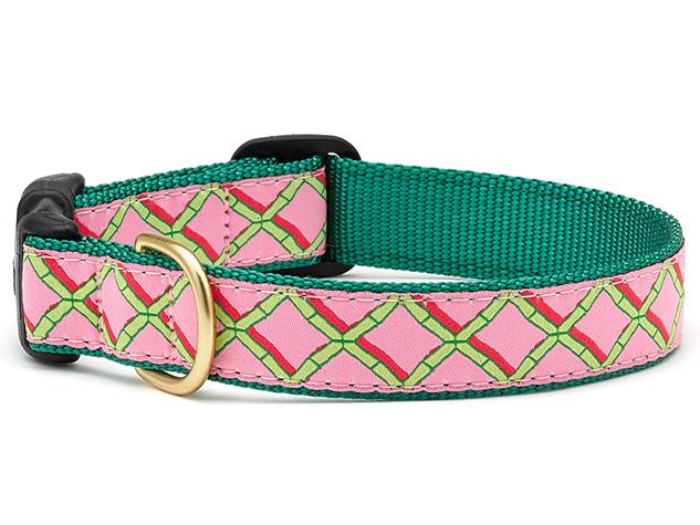 Coral Gables Dog Collar
