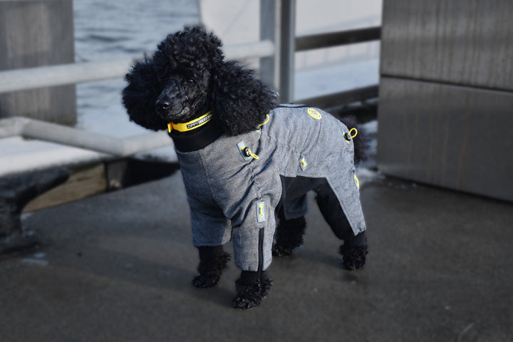 Cozy Dog Body Suit