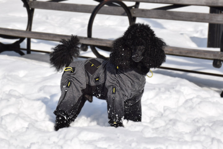 Cozy Dog Body Suit