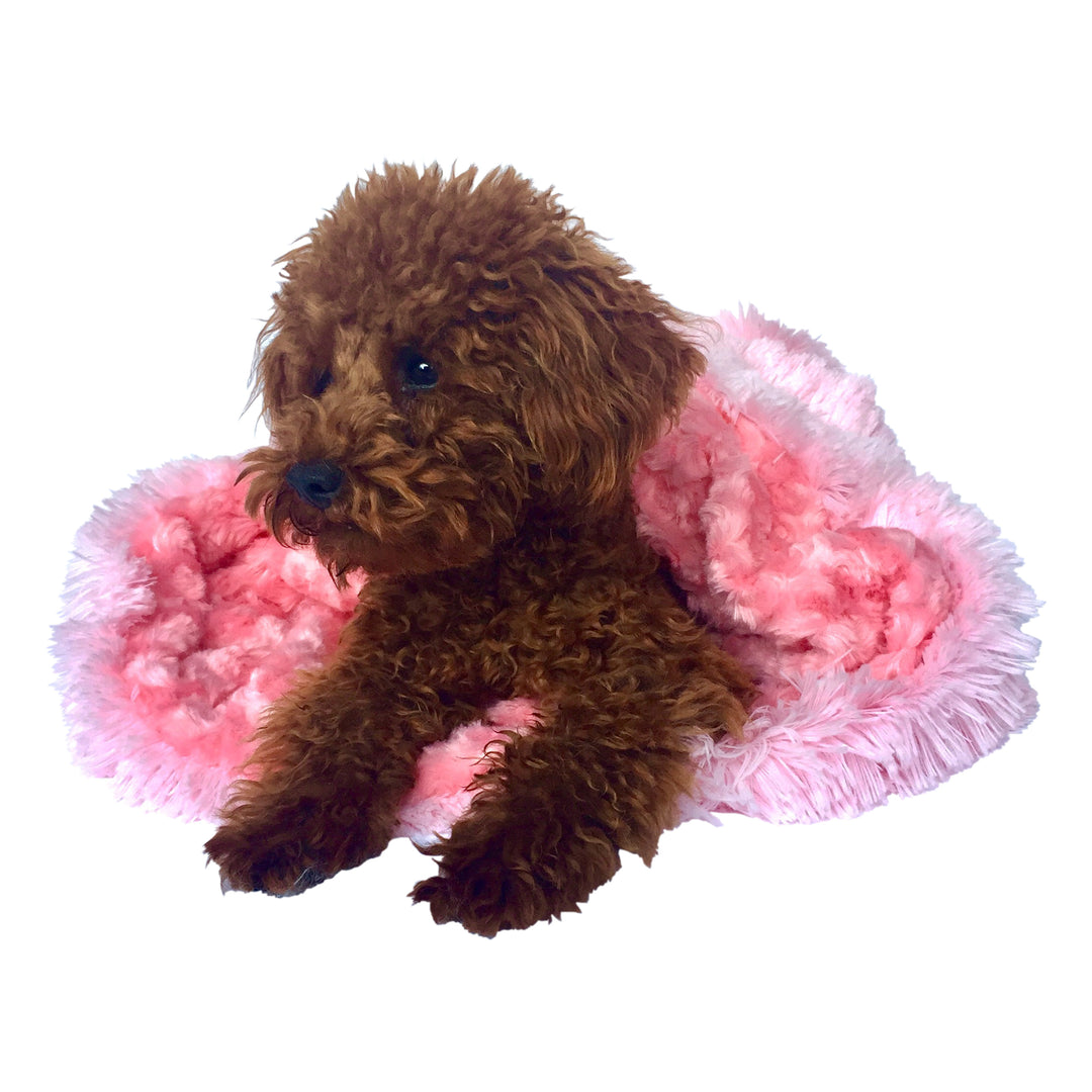 Pink Bella Cozy