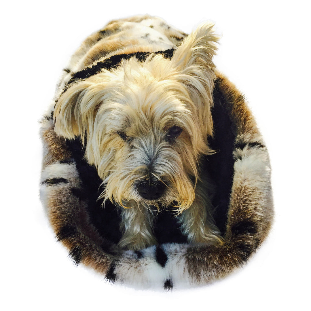 Snow Linx Cozy