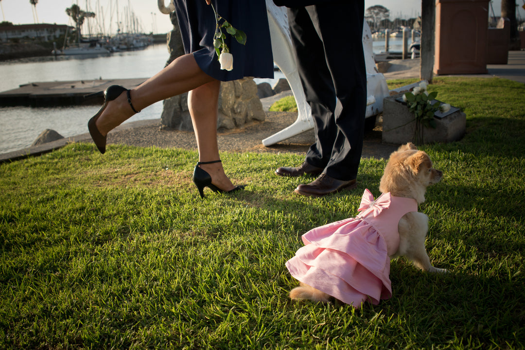 Puppy Pink Madison Dress