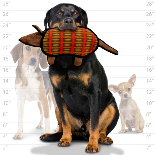 Tuffy Desert Series Dog Toy