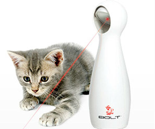 Frolicat Bolt