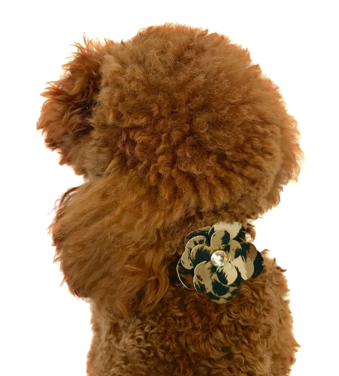 Leopard Garden Flower Collar Sliders