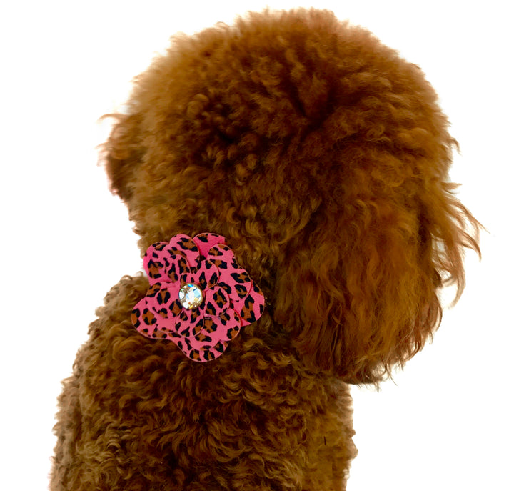 Pink Leopard Garden Flower Collar Sliders