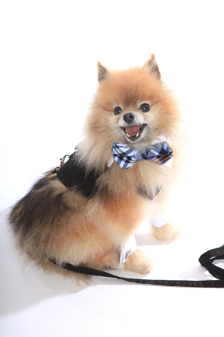 The Gavin Silk Harness Vest