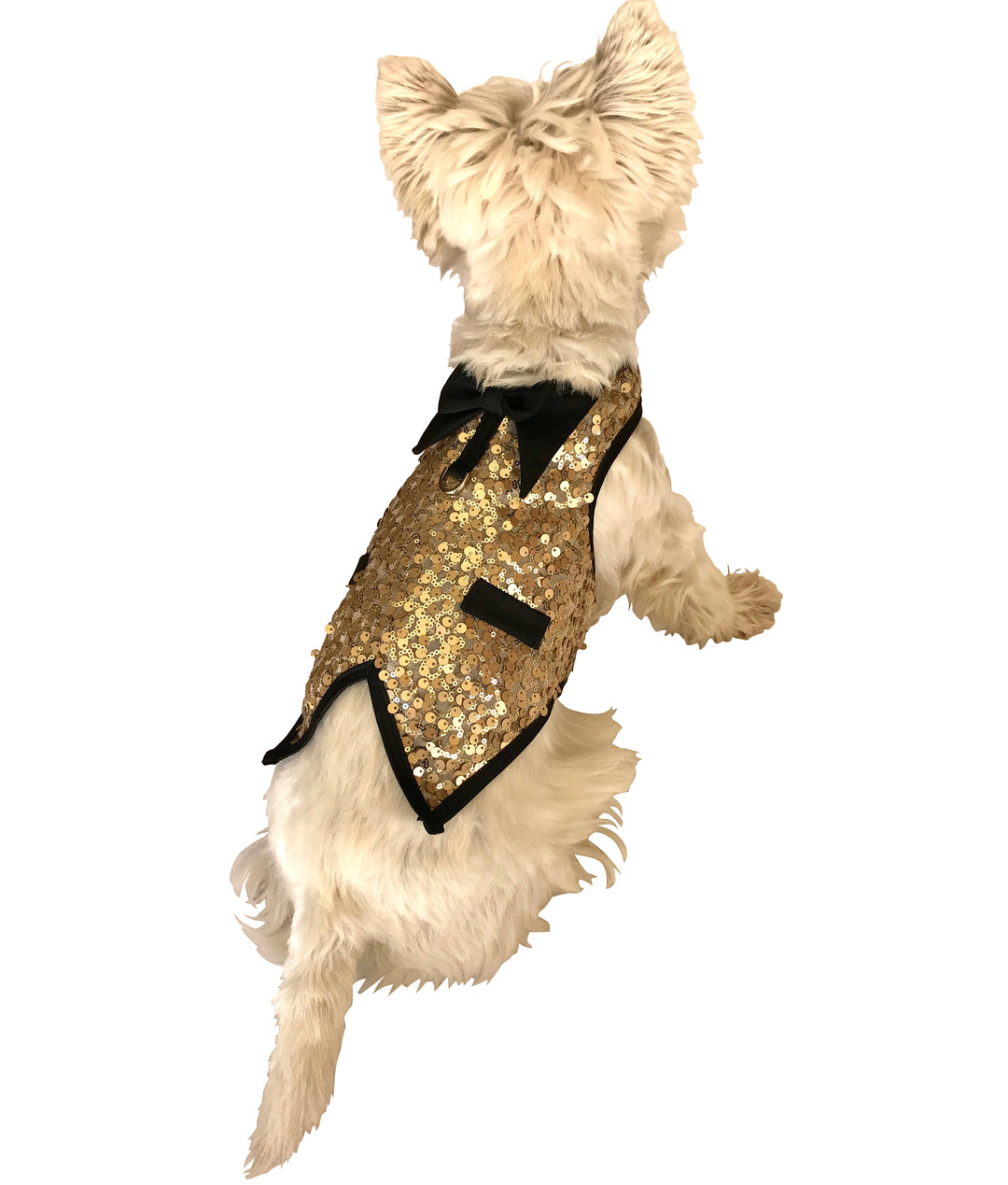 Lt. Gold Doggie Sequins Tuxedo