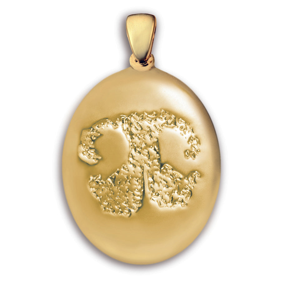 Gold (14k) Paw Print Charm (Large)