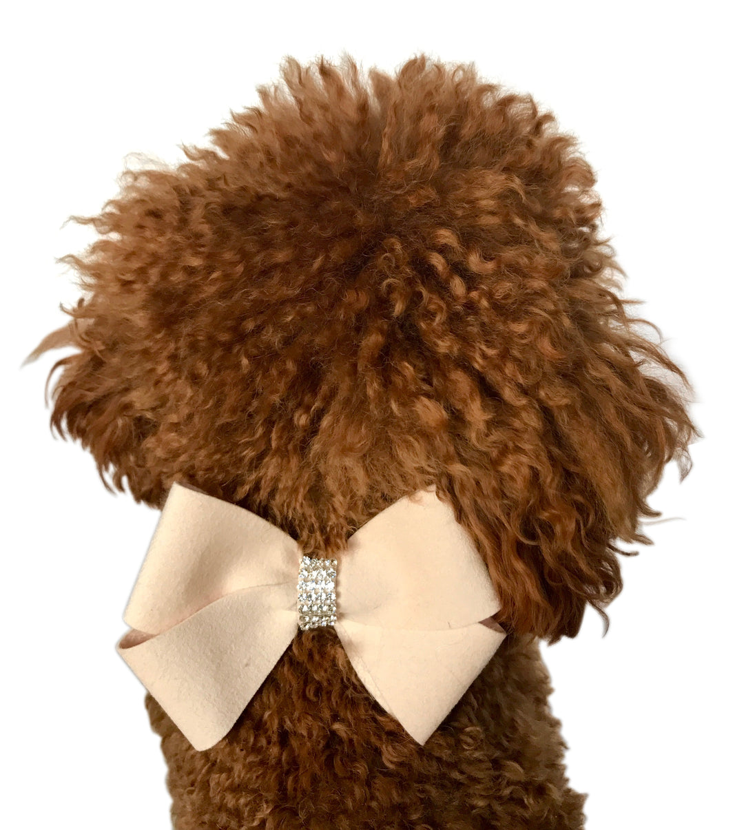 Dusty Pink Westminster Grand Champion Bow Slider