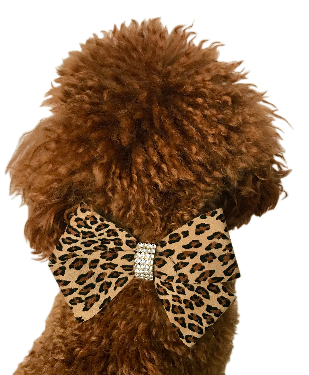 Cheetah Westminster Grand Champion Bow Slider