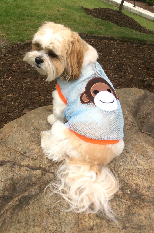 Lahaina Fishnet Monkey Dog Tank