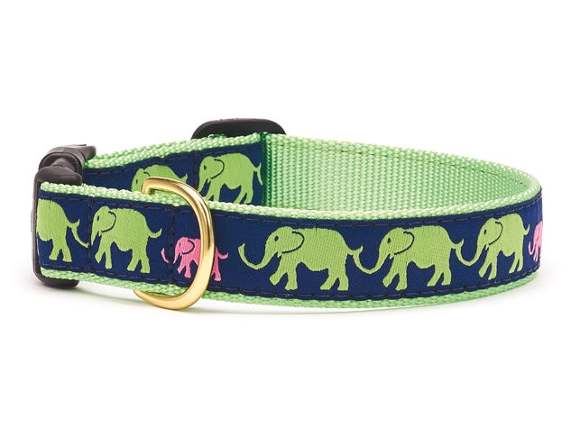 Leader Of The Pach Dog Collar