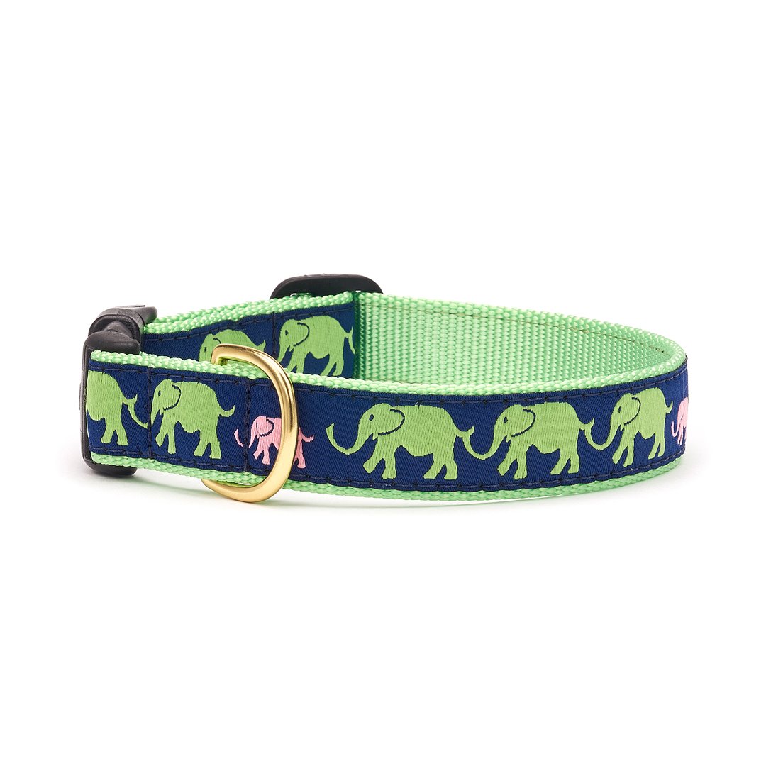 Leader of Pach Dog Collar