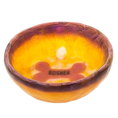 Translucent Dog Bowl Salmon
