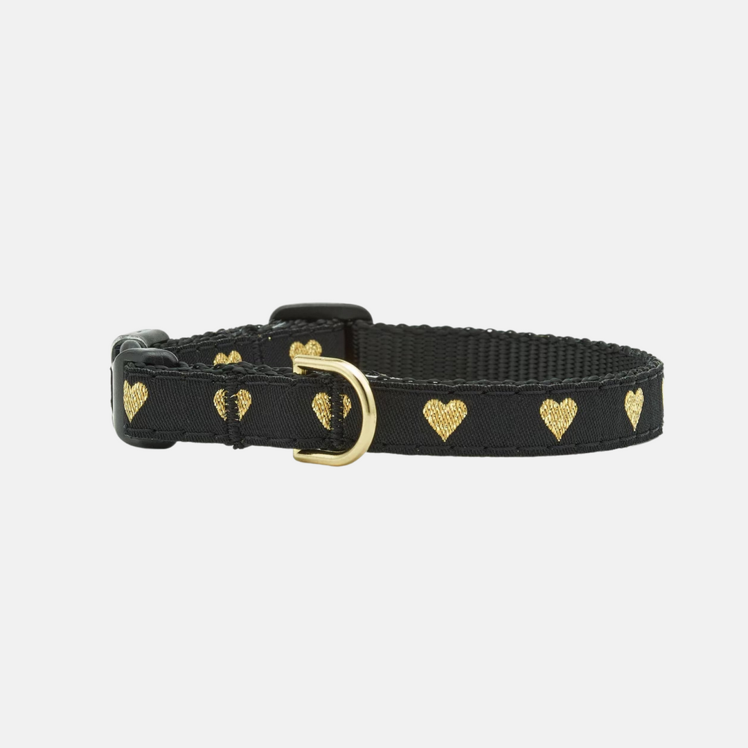 Heart of Gold Dog Collar