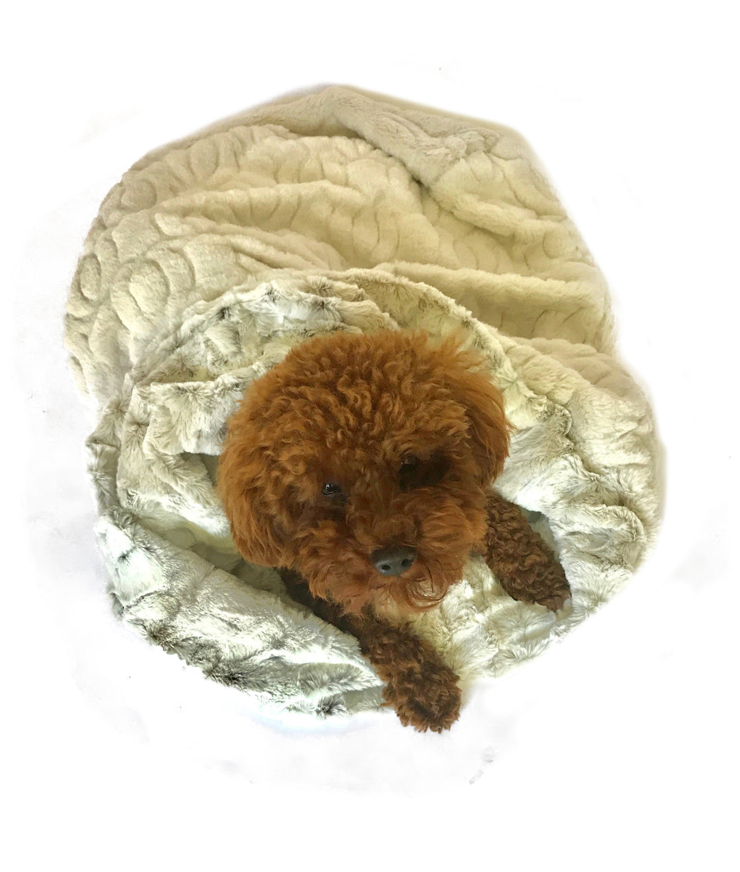 Koala Granite Cozy Plush Dog Sak