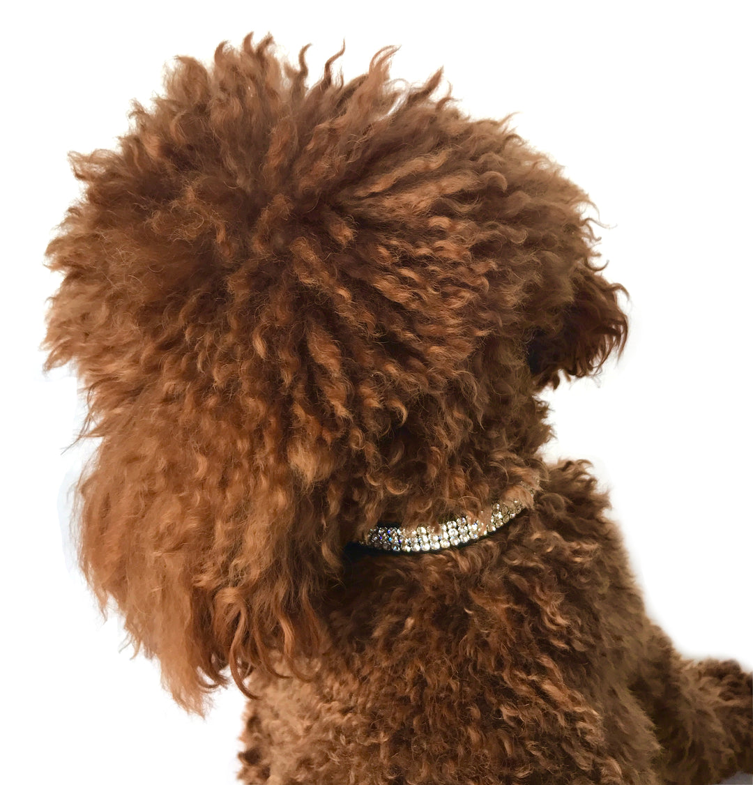 Black Movie Star Collar 3 Row w/ Crystal