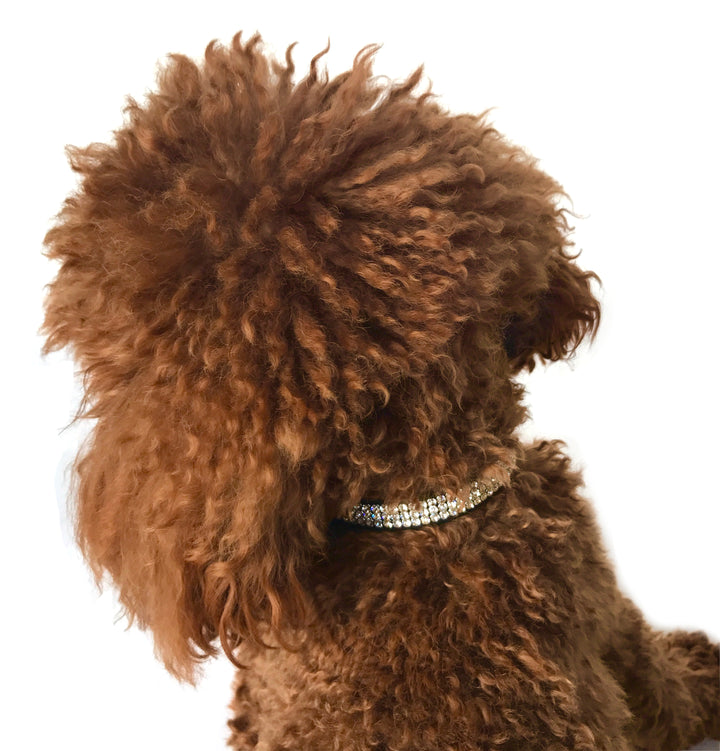 Black Movie Star Collar 3 Row w/ Crystal