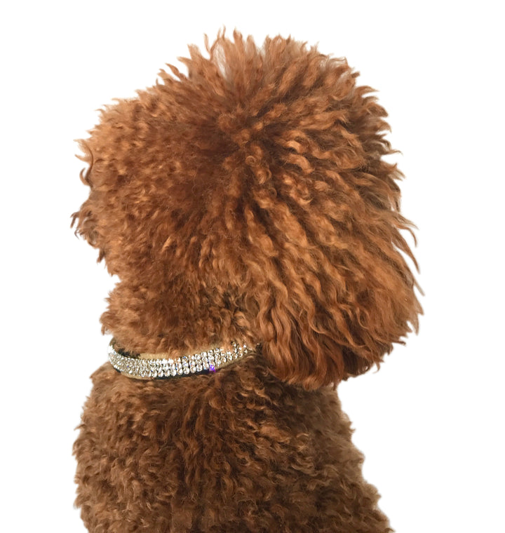 Leopard Movie Star Collar 3 Row w/ Crystal