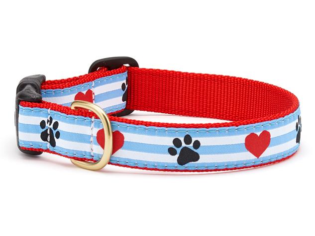 Pawprints Dog Collar
