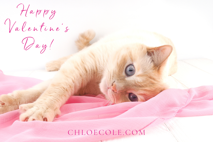 Cat Valentine's Day Gift Card