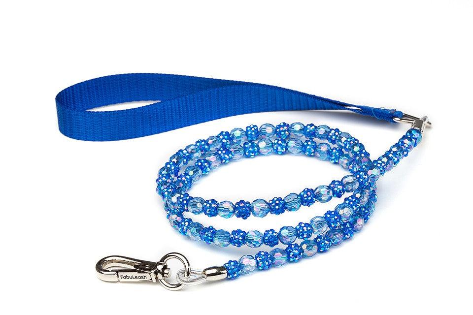 Sapphire Fireball Dog Leash