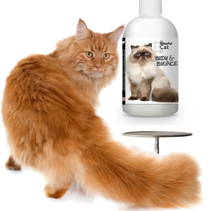 The Blissful Cat Body & Bounce Shampoo for Coats That Need Love