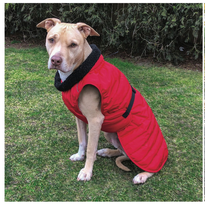 Basecamp Parka Coat (Choose Color)