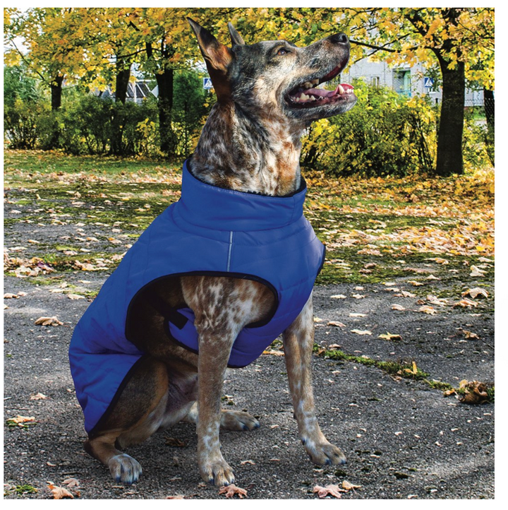 Basecamp Parka Coat (Choose Color)