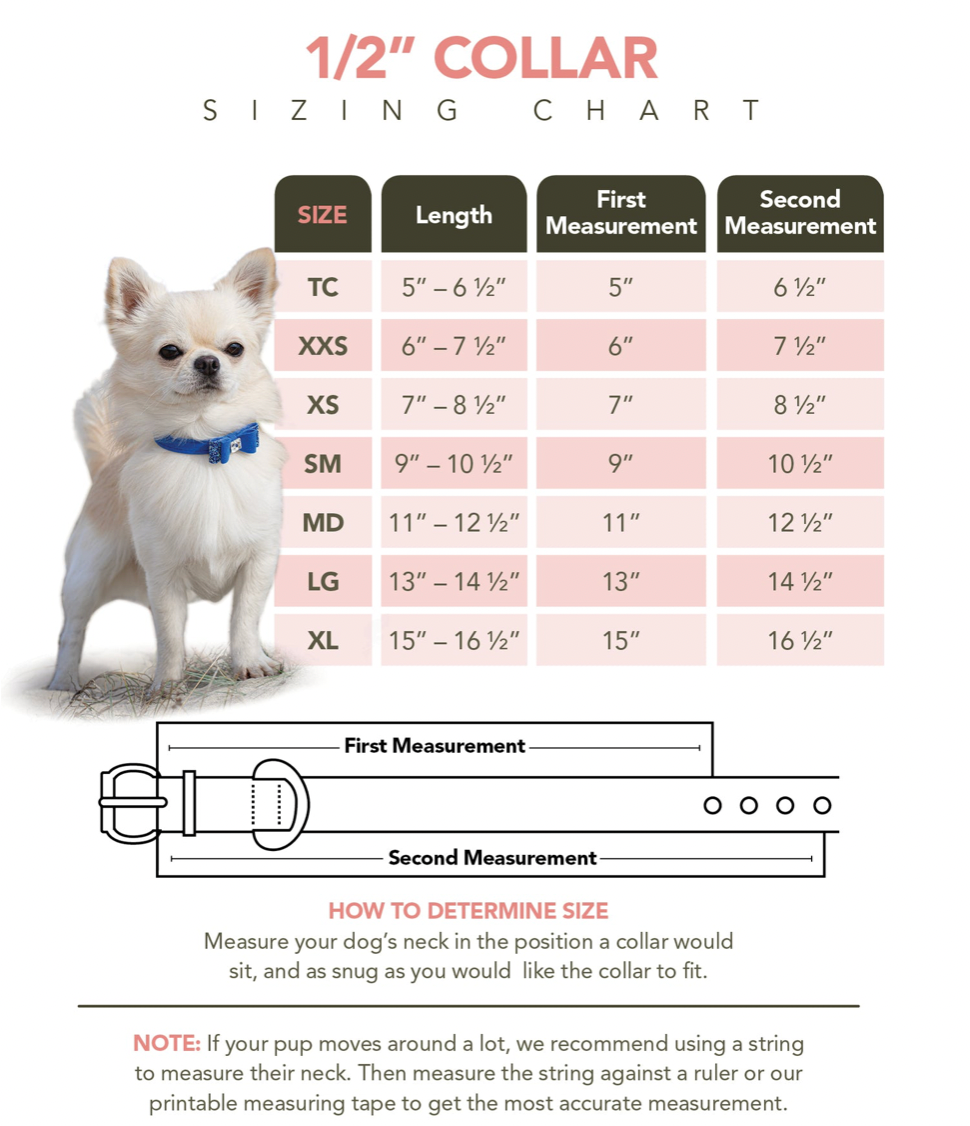 Scotty Collar Tiffi Plaid