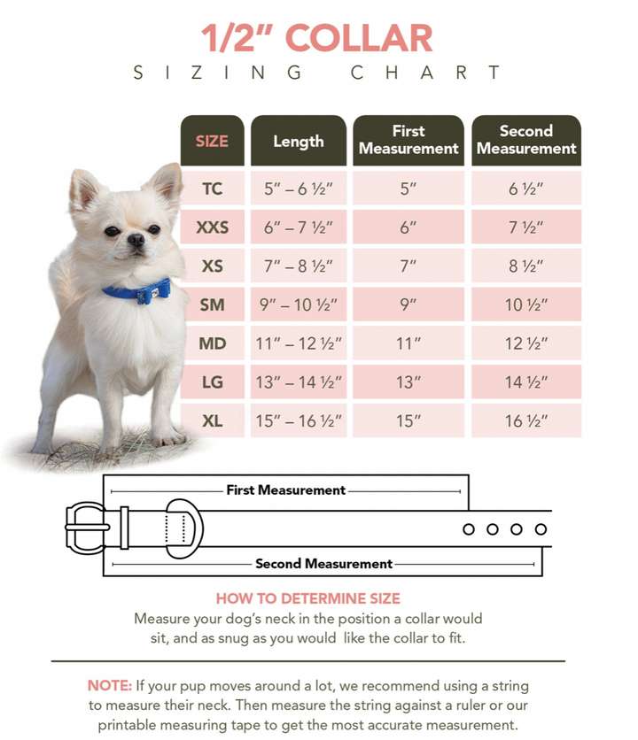 Scotty Collar Tiffi Plaid