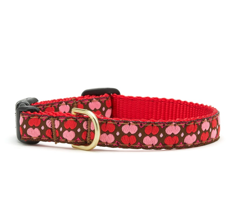 All Hearts Teacup Collar