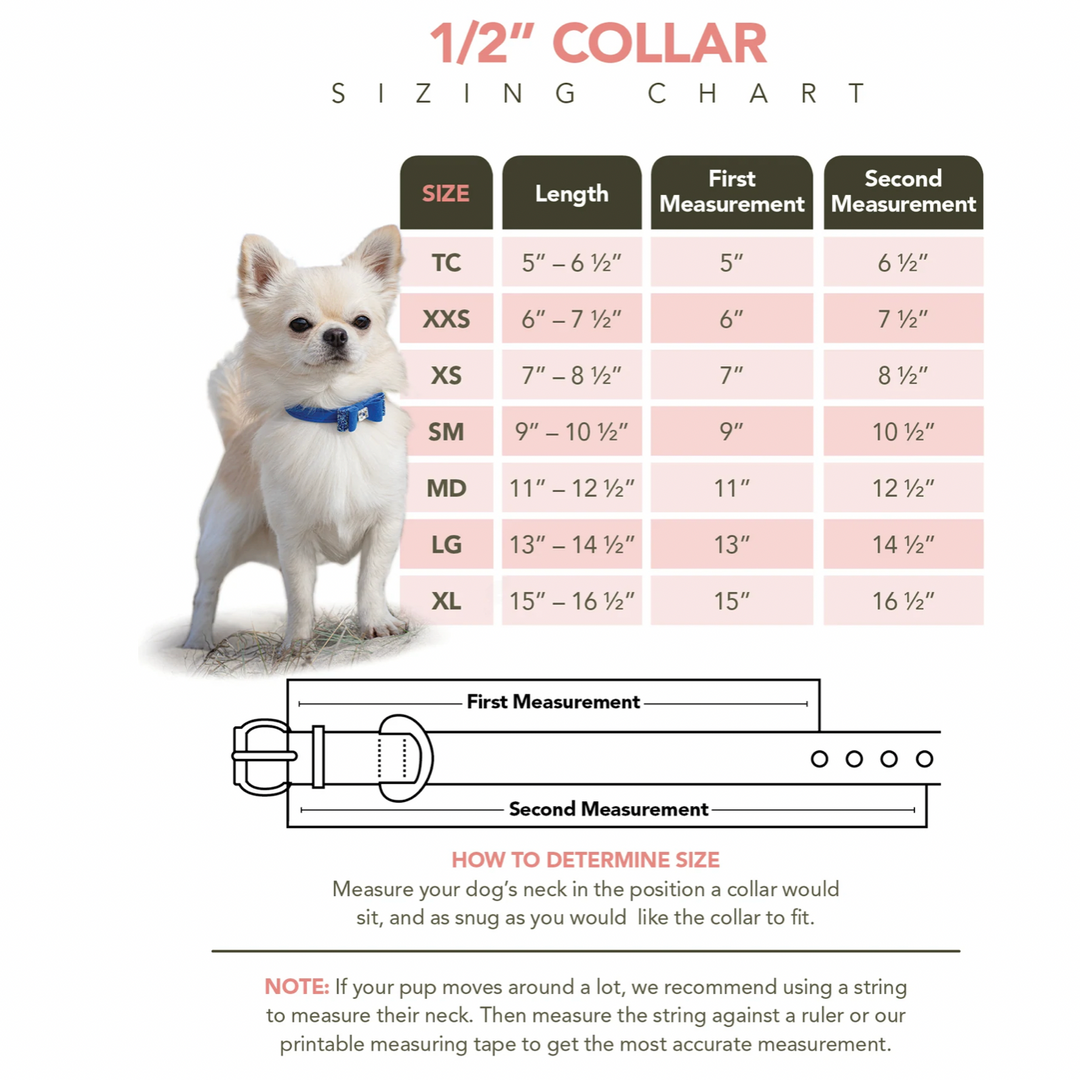 Cheetah Couture Crystal Rocks Collar