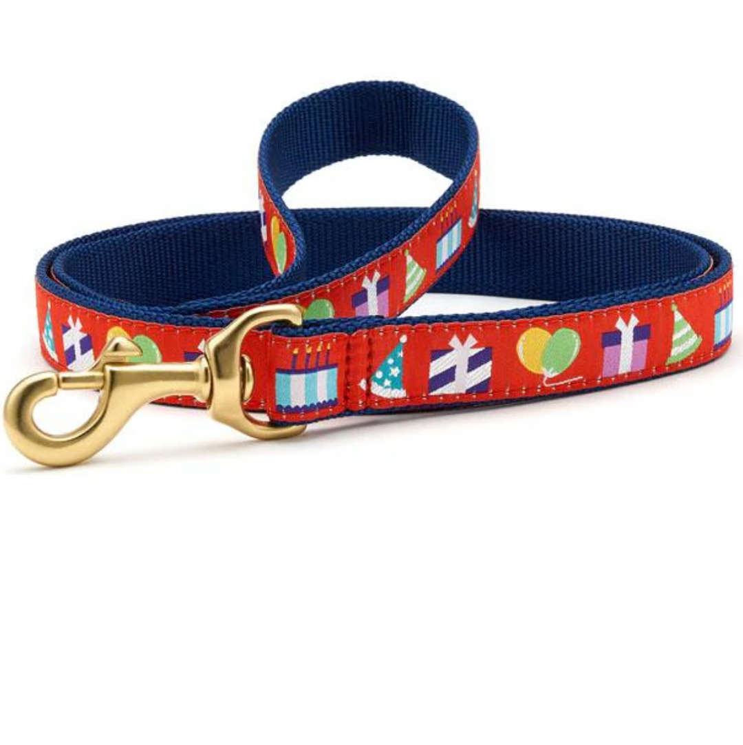 Birthday Dog Harness
