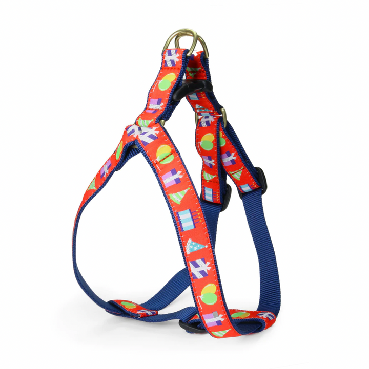 Birthday Dog Harness