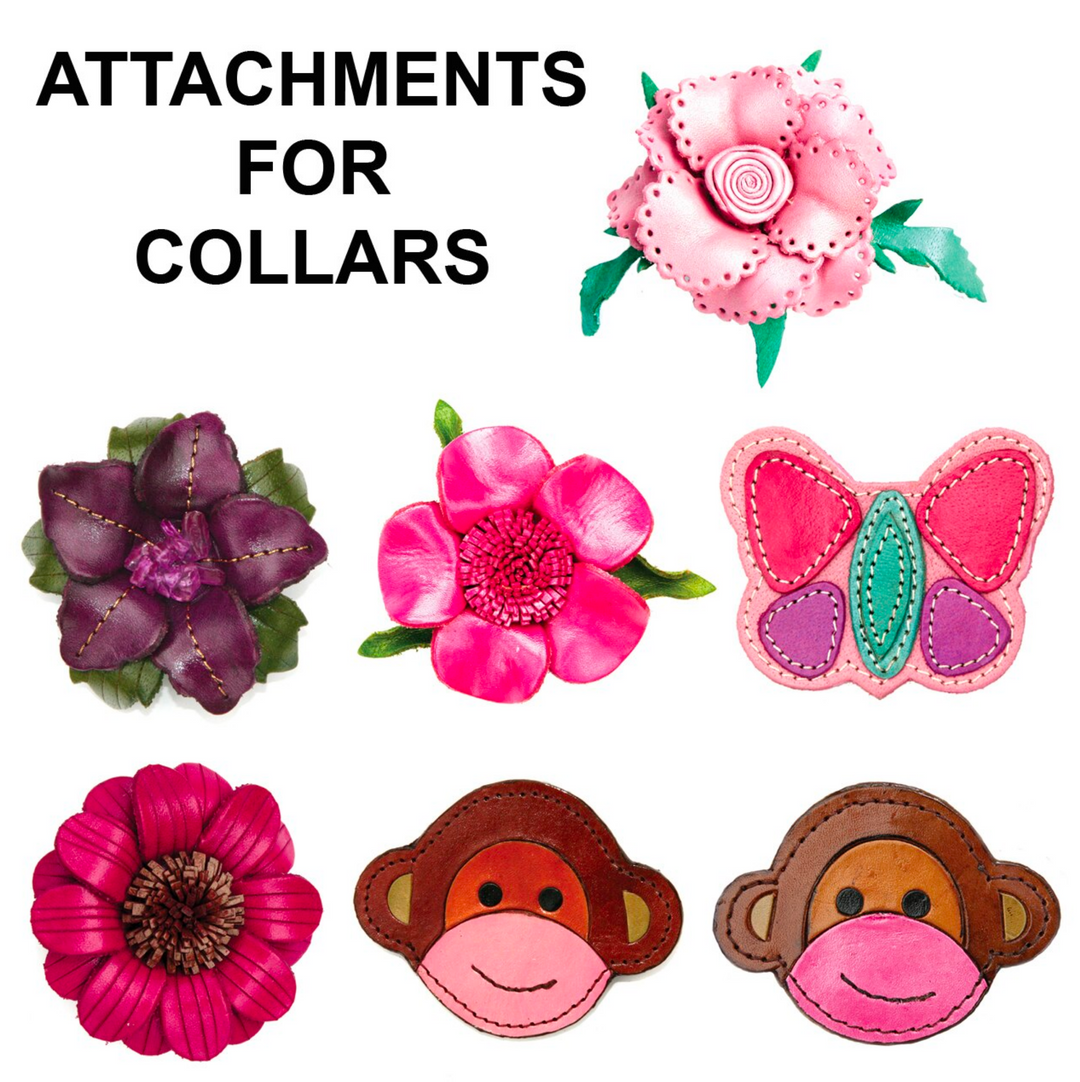 Attachments For Leather Collar