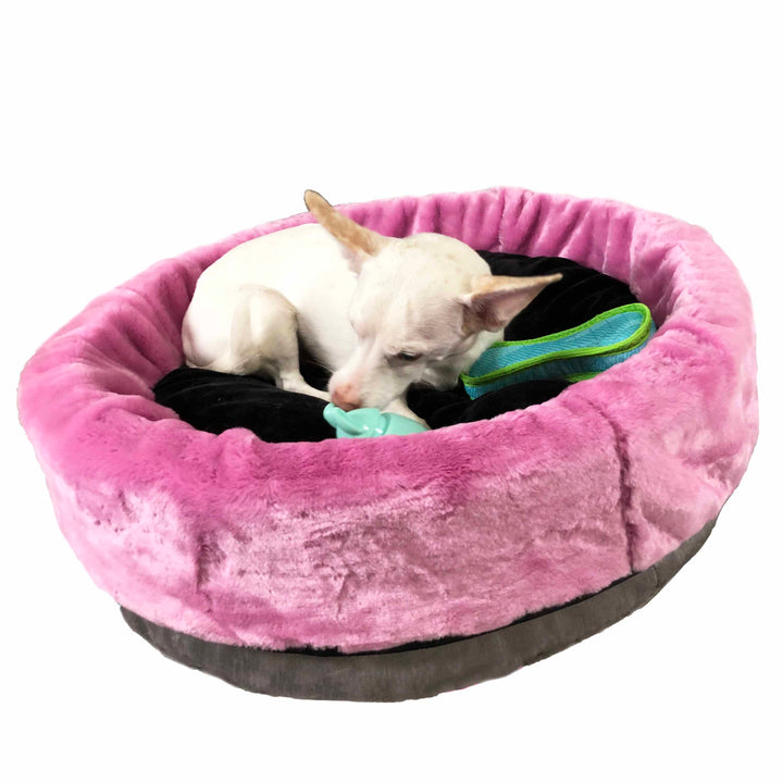 Luxury Bodacious Bucket Pet Bed (Custom) Sold Out