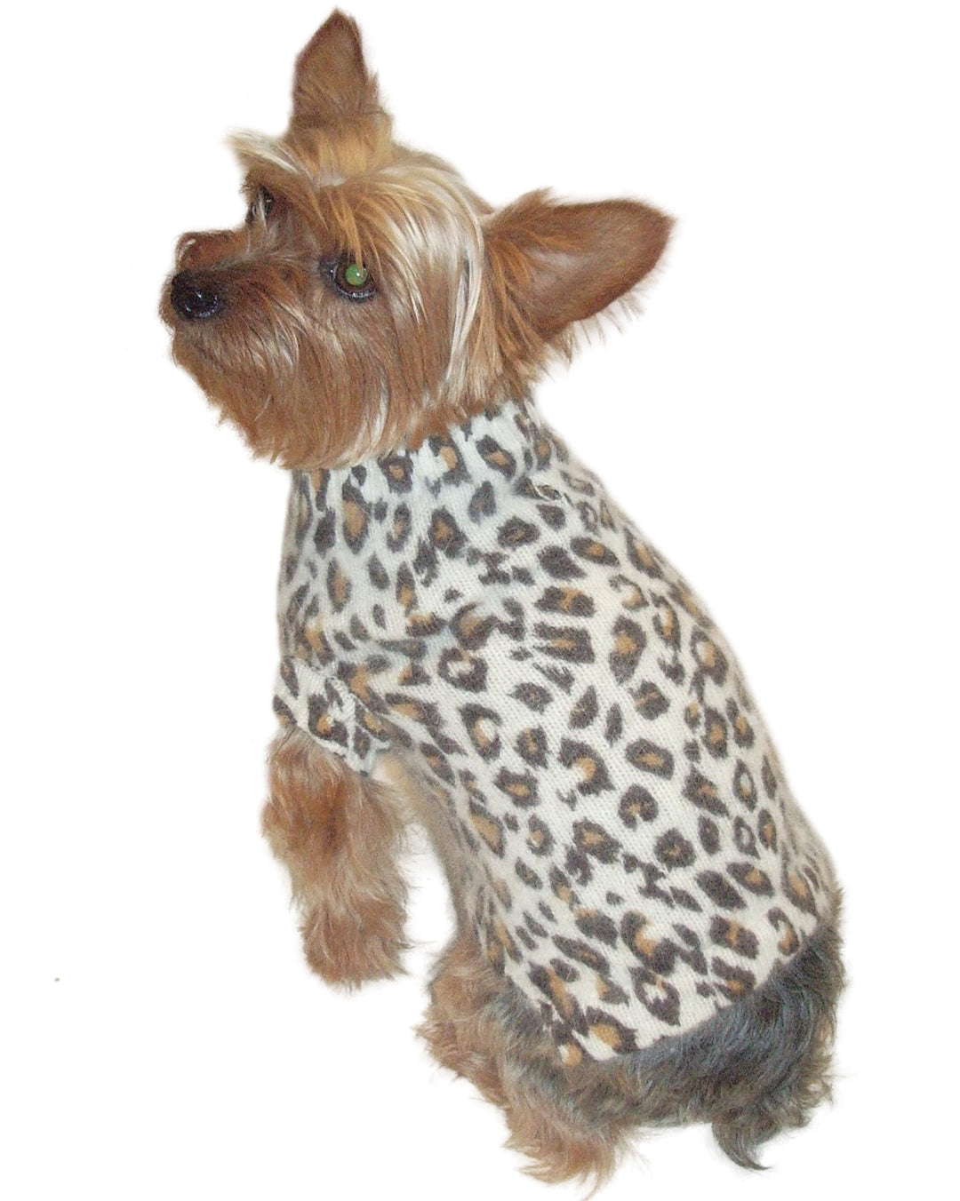 Luxury Animal Instincts Mock Neck Angora Blend, Ivory Leopard