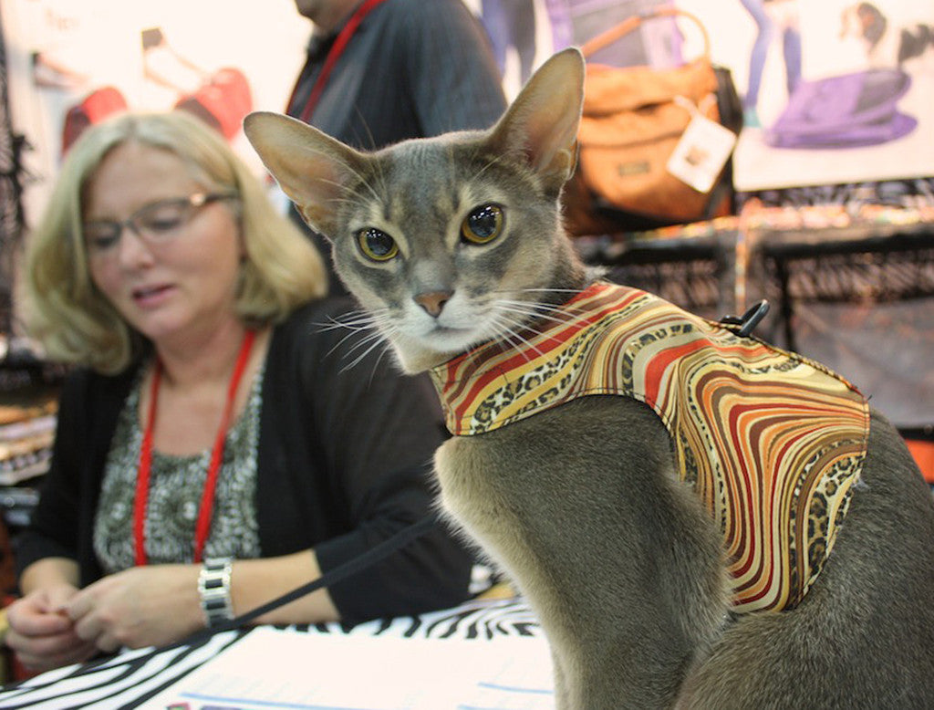 Animal Rivers Walking Vest - Medium