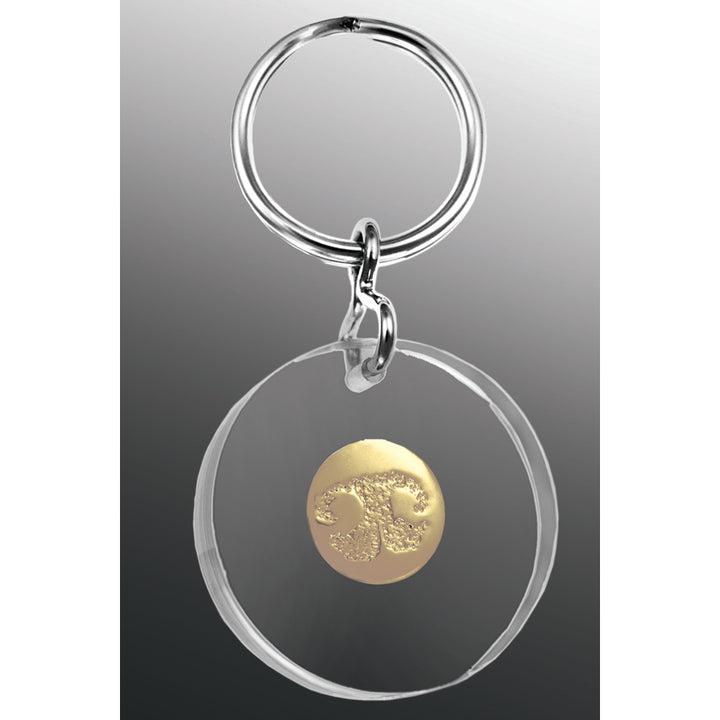 Paw Print Key Fob Gold