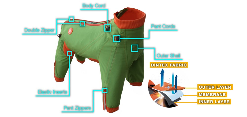 Edgy Dog Body Suit
