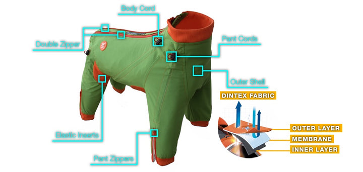 Edgy Dog Body Suit